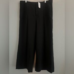 NWT Banana Republic Classic Pleated Black Crop Pants Size 16L
